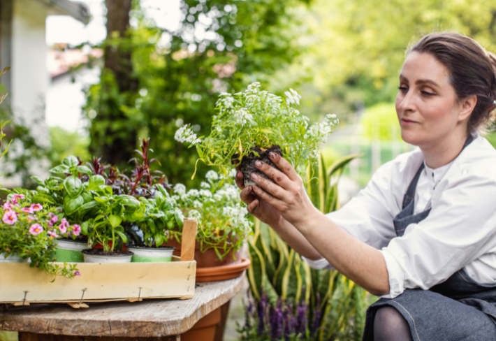 Peyzaj Uzmanlığı Eğitimi