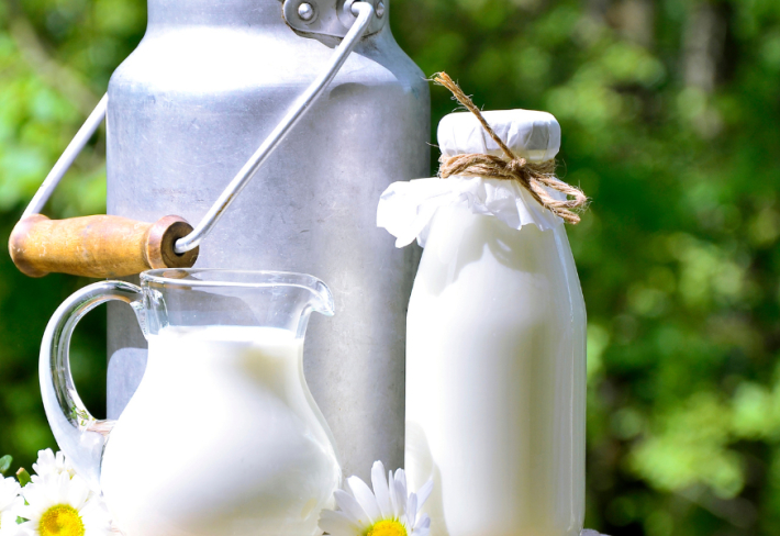 Süt Sığırcılığı Eğitimi